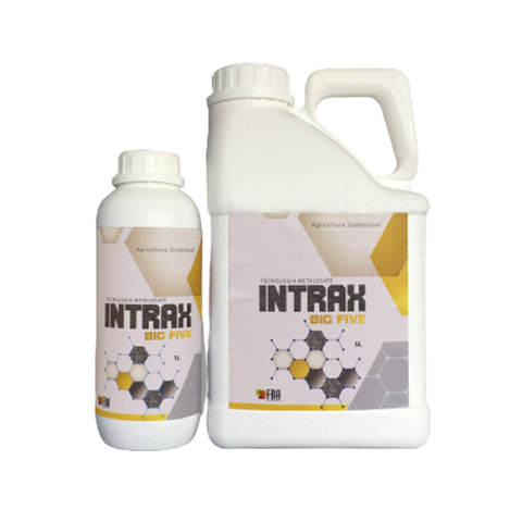 Intrax Big Five